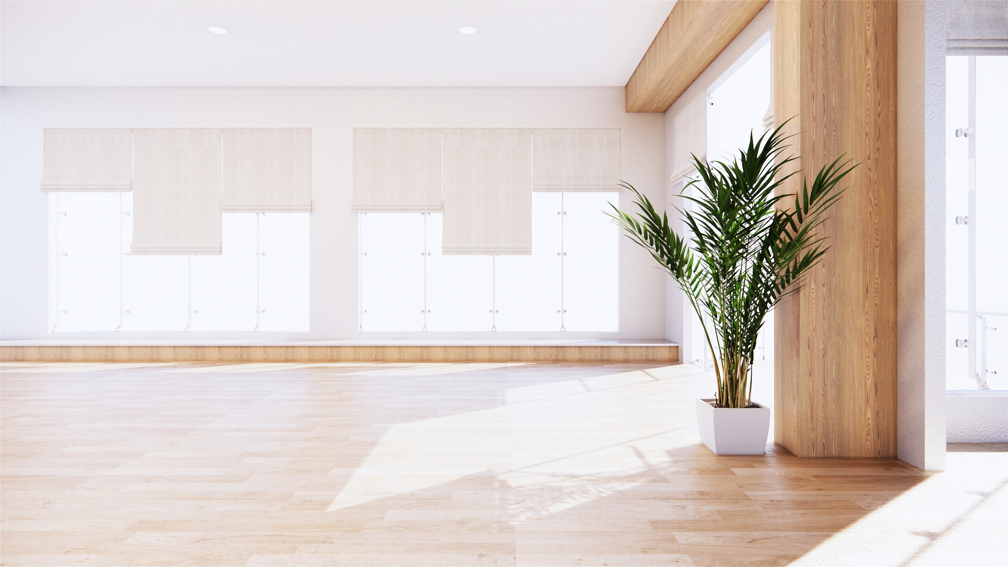 Empty Room Interior with Plant Decoration
